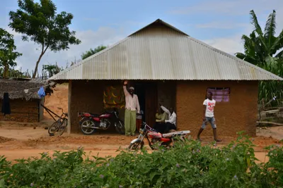 DSC_4700 (Large).JPG